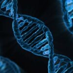 Gambar DNA